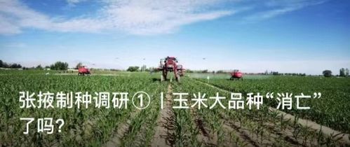 种业大事件丨广东 四川 山西 天津等地有啥新动作