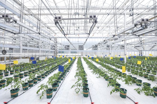 种济天下,通达未来