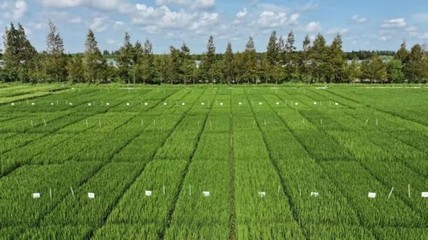 光明农发集团聚焦种业创新,打造长三角未来种业发展策源地