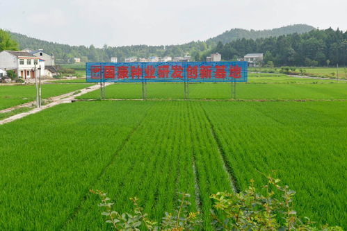 农业农村部公布金融支农十大创新模式 农行这一模式入选