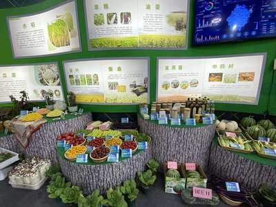 超级稻品种数量全国第一 种业发展助力浙江农业提质增收