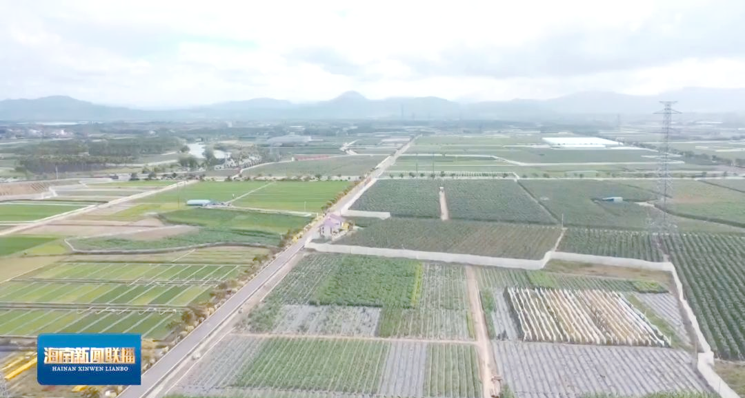海南南繁硅谷:引领种业创新的先锋力量