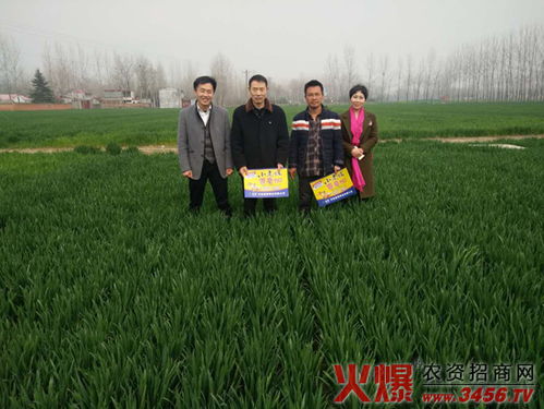 河南晨博种业 以科技创新引领现代种业发展