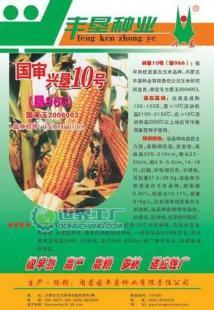 兴垦10号玉米种子 产品信息与厂家供应详情