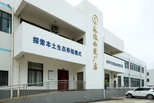 文昌冯家湾现代化渔业产业园 打造水产种业硅谷，让水产住进“别墅”