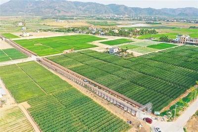 海垦南繁产业集团 深度参与南繁产业建设，打造种业新力量