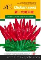 新一代朝天椒种子 高产优质的辣椒种植选择