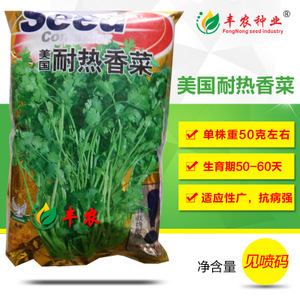 蔬菜香菜种子市场洞察 价格、供应商与种植前景