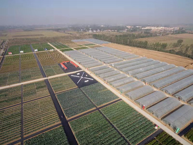 种业小镇赋能农业强'芯'，构筑现代农业新引擎