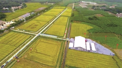 增城出台扶持措施 大力度支持种业自主创新