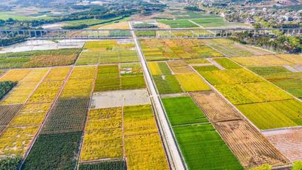 种业振兴 筑牢大国粮仓的基石