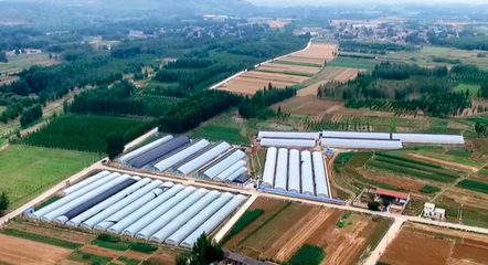 山东宇泰生物种业 聚焦种业创新，助力农业强国建设