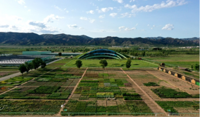 蒙草生态上市十周年 以种业为本，科研当先，深耕生态修复的“中国草”