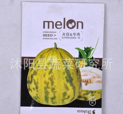 泽田种业优质甜瓜种子 家庭果蔬种植的理想选择