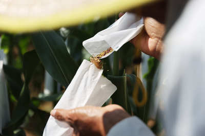 聚焦种业“破卡”，2021中国种子大会引领种业振兴新篇章