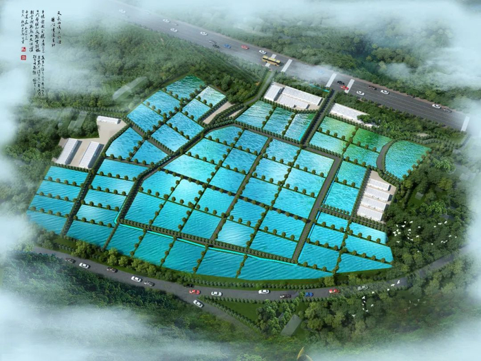 投资2.4亿！水产巨头落子九江，南海现代水产种业迎来强劲新引擎