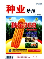 种业强国之路 种植业现代化的基因密码